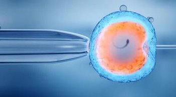 湛江第三代试管婴儿费用详解，哪些医院值得信赖？