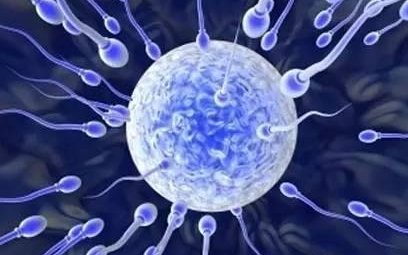 在上海做试管移植囊胚失败了怎么办？