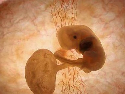 在佛山妇幼做试管婴儿费用贵不贵？