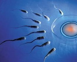 染色体异常不孕能在沧州市人民医院做三代试管怀孩子吗？男人染色体有问题能做试管吗？