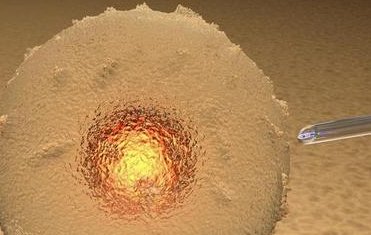 广医三院做三代试管费用总共多少？成功率如何？