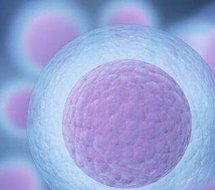 不孕不育在合山市做试管的费用有多少？一文告诉你做三代试管建档的流程有哪些