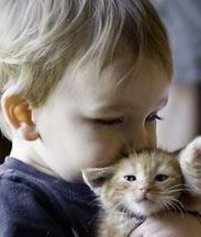 不孕不育在霸州市做试管的费用有多少？一文告诉你做三代试管建档的流程有哪些