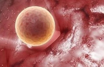 福建有试管医院吗？福建试管医院有哪些？